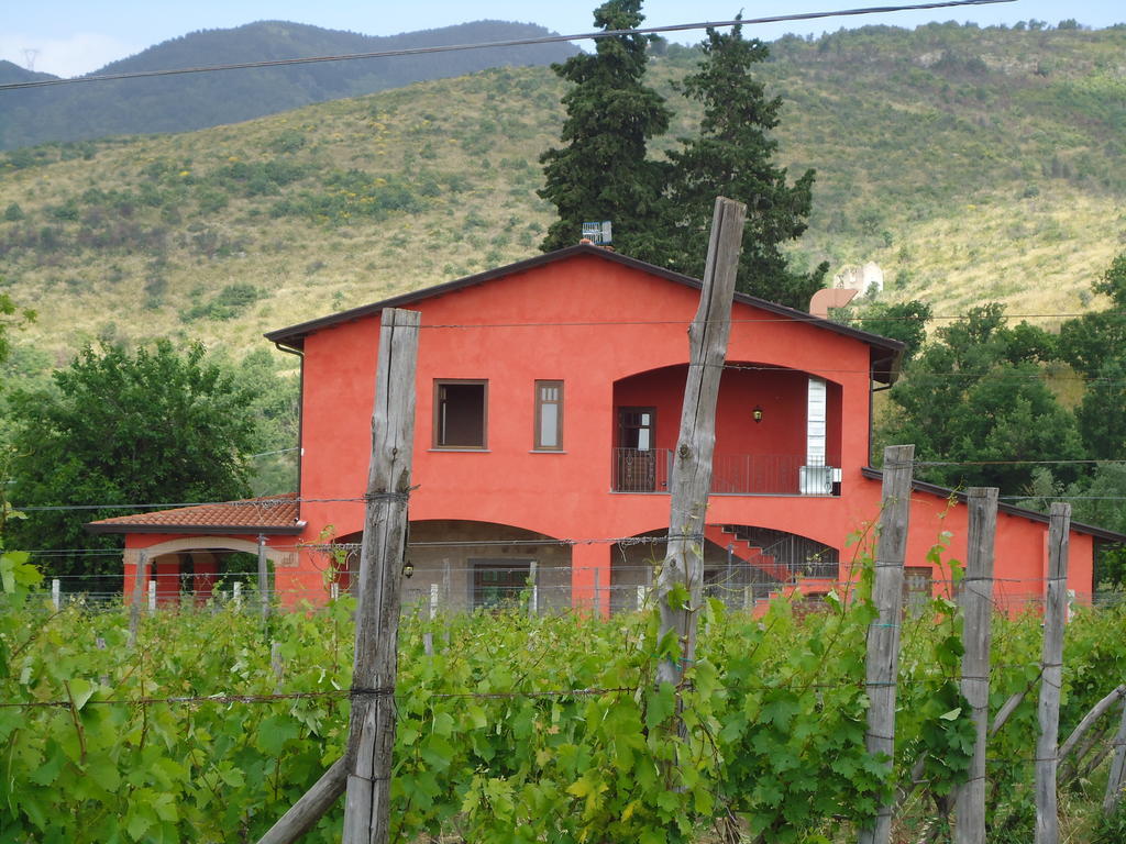 Agrituirsmo Masseria Campierti Falciano del Massico Ngoại thất bức ảnh